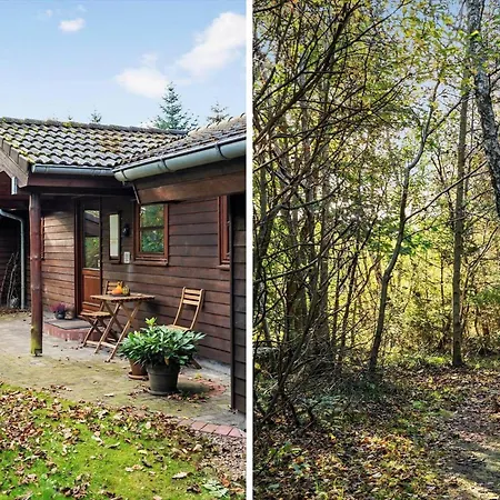 Jb245-fjerritslev-tyttebaerstien-44 *